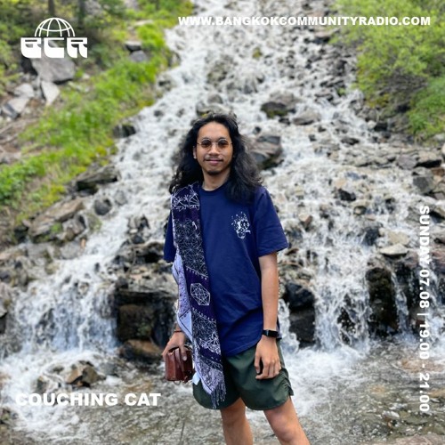 Couching Cat August - 7th August 2022