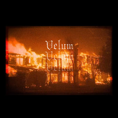 velum [EP]