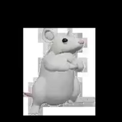 RAT