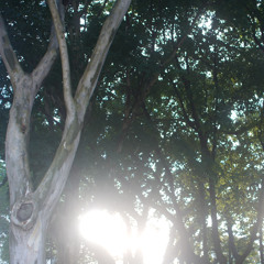 strange things will happen (cover)