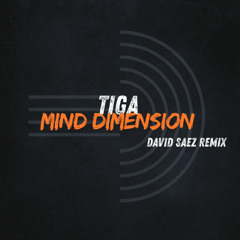 Tiga - Mind Dimension (David Saez Bootleg)