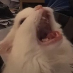 VI (Fake Plastic Trees cover)