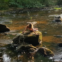 Lion Sayz (Marley Free Re - Cover ***IRON LION ZION)