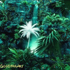Jungle Springs