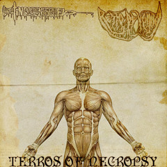 vxcx - eat_shit_and_swallow