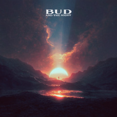 Empire Of The Sun - Walking On A Dream (Bud And The Night Remix)