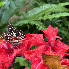 ‎⁨قمر الزمان⁩ بدون موسيقى