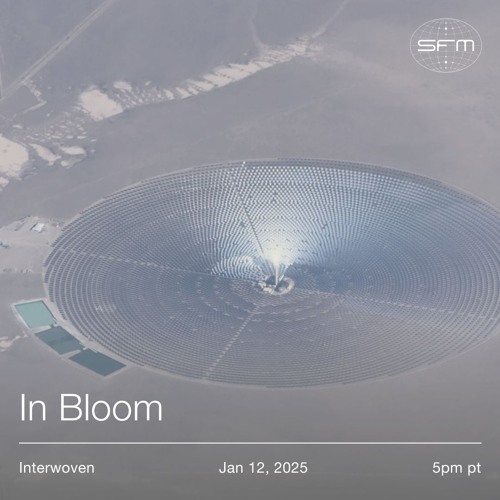 Interwoven 07: In Bloom