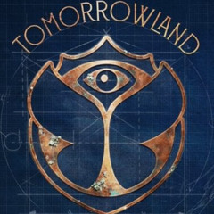 tomorrowland winter 2025 warmup