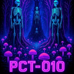 PCT-010_Brainstorm
