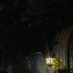 Người Buồn Đánh Nhạc - Quang Lâm