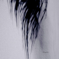 Bulah - Redshift (Original Mix) |TRM360|