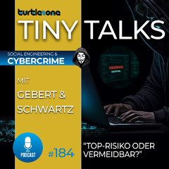 Turtlezone Tiny Talks - Top-Risiko oder vermeidbar?