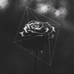 BLACK ROSE [M A D Z I K Feat MEEROA ]