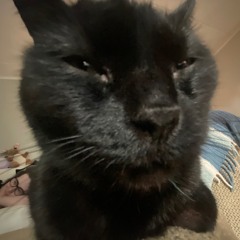 my wife supports my videos