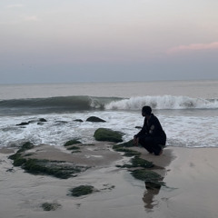 venus in virgo (demo)