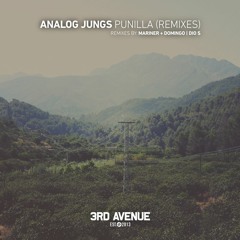 Analog Jungs - Punilla (Dio S Remix) [3rd Avenue]