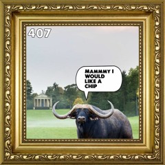 407: The Brown Email Buffalo