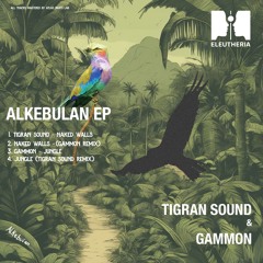 Gammon - Jungle (Tigran Sound Remix) (snippet)