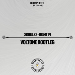 Skrillex - Right In (Voltone Bootleg)