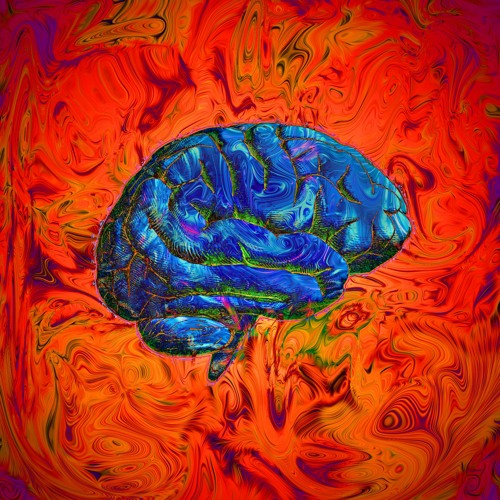 The Polarity Of Things