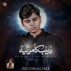 Zainab (s.a) Ka Marsiya  --  Syed Zain Ali Zaidi  --  Shahadat e Mola Ali (a.s)  --  2024