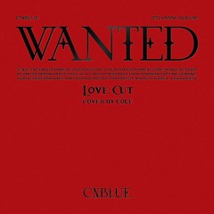 CNBLUE - Love Cut (cover)