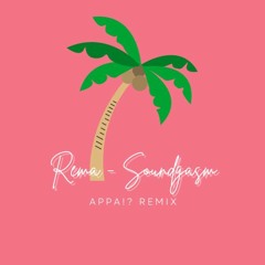 Rema - Soundgasm [APPA!? REMIX]