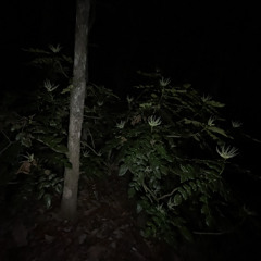 Wishing Well (prod. SAINTGABRIEL)