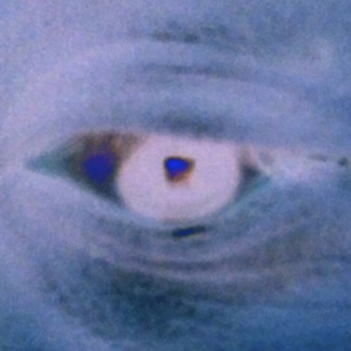 Where It All Starts x Kricket x Sloke