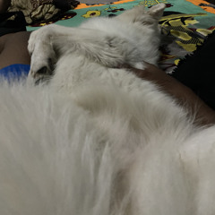 MONASTERIO .waw.🥨 X MERRY