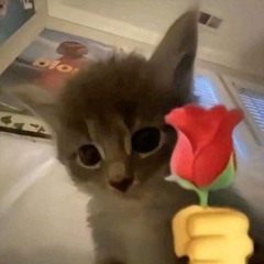 ROMANTIC
