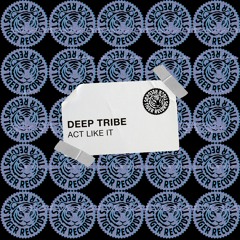 Deep Tribe - Act Like It (Mr. Wright Radio Edit) CLIP [Tiger Records]