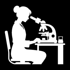 2025 I am a scientist / Disco live set