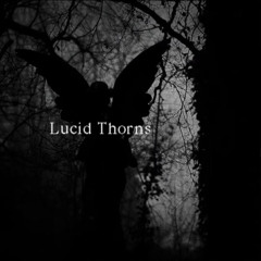 lucid breakcore 5