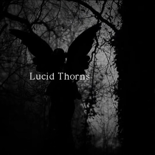lucid breakcore 5