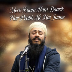 Bhai Rajan Singh - Mere Raam Ham Baarik Har Prabh Ke Hai Iaane - Birmingham 11.1.25