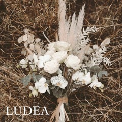 Ed Sheeran, Perfect Violin Cover