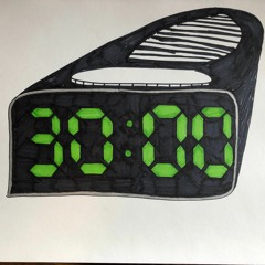 30 - Bo Burnham (Cover)