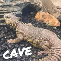 Cave (prod. M!k3y & Ansen)