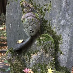 insoniacore - vai chover e eu sei disso (shaarksz)