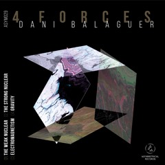 03 Dani Balaguer - Electromagnetism