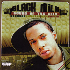 Soul Sample Rap  / Vocal Samples / Chipmunk Soul - 6