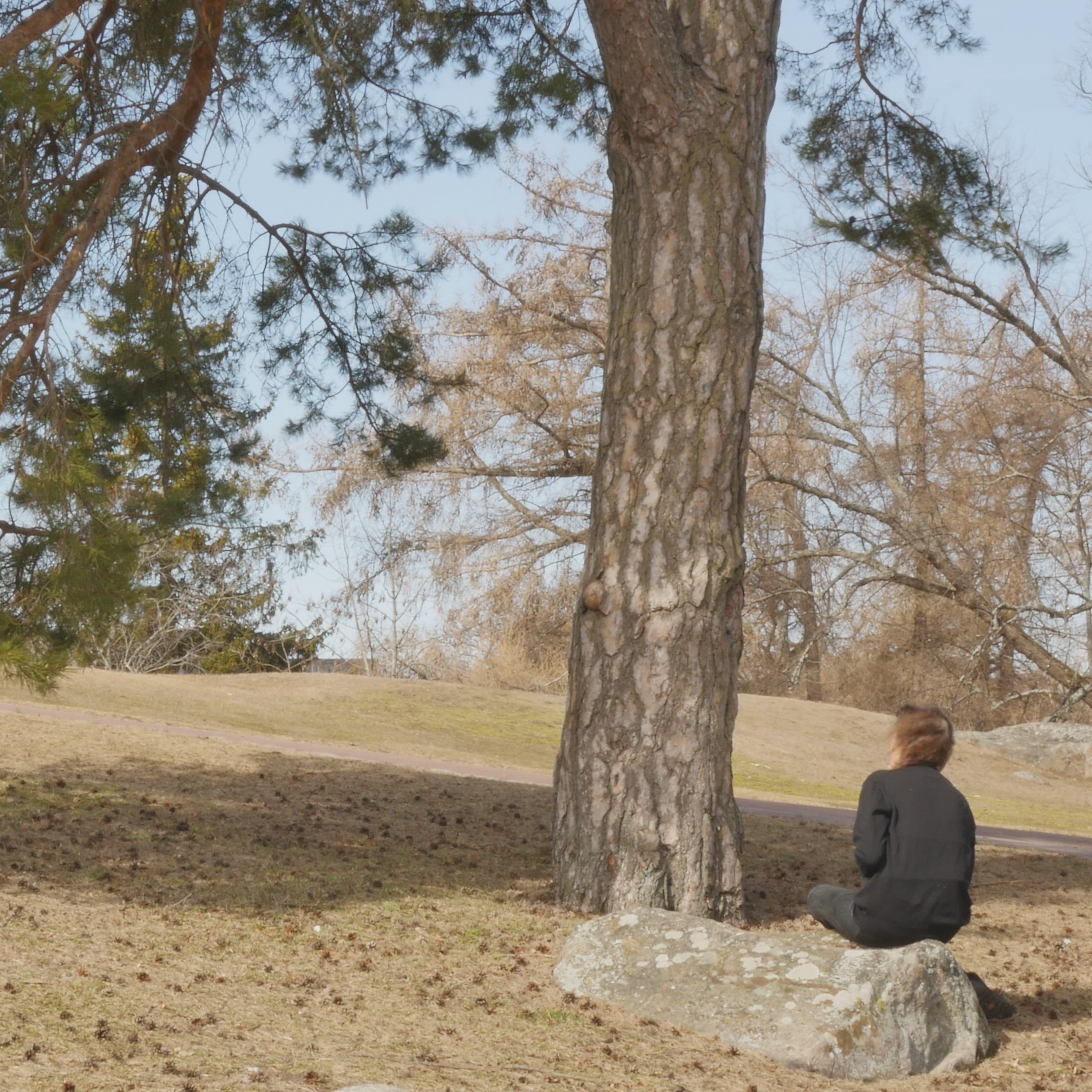 Pondering With A Pine In The Park - 7 episode artwork
