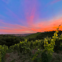 Miracles obscured in plain sight