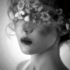 vevyx & GD4RK - A New Beginning