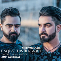 Eshgiva Divanayam (feat. Amin Vakilnasl)