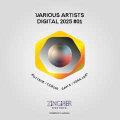 VARIOUS ARTISTS DIGITAL 2025 #01