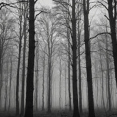 Silent Trees - Relaxing Ambient For Deep Sleep