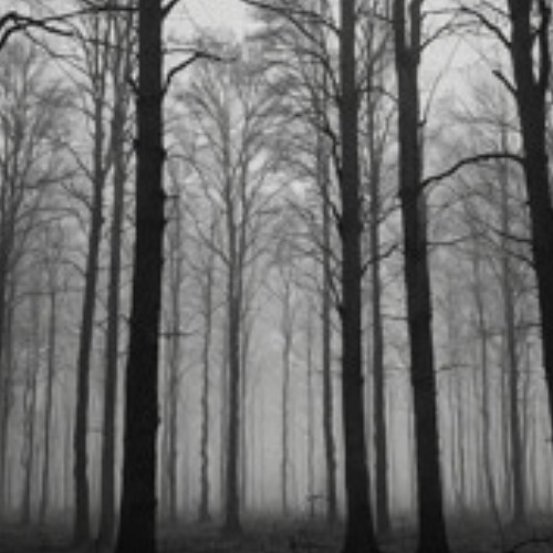 Silent Trees - Relaxing Ambient For Deep Sleep